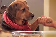 You Must Love Dogs Dating: Daily Mail's story about the site was tweeted nearly 77,000 times