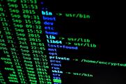 Brands should build their own algorithms in 2019