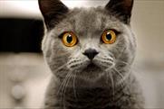 Encore cat food: unveils ad campaign