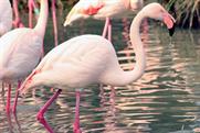 Kensington Roof Gardens flamingos: new home 