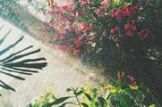Miracle-Gro to deliver multi-sensory garden