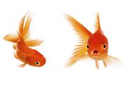 Shifting attention spans mean we need to move beyond measuring by click-throughs