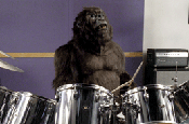 Gorilla...new soundtrack in Fallon ad