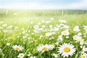 Connecting with nature helps business