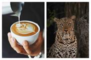 Weekender: London Coffee Festival, Love Nature exhibition, Gore-Tex 5D experience