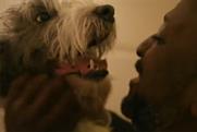 Mayhew Animal Centre: moving away from stereotypes