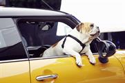 Spike: the British Bulldog features in Mini's latest ad campaign