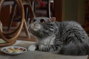 Mog: the famous cat stars in Sainsbury's Christmas TV campaign