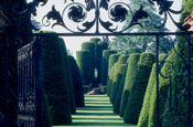 National Trust