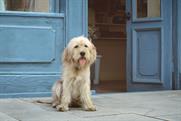 O2's dogs 'feel love' in kaleidoscopic new 4G ad