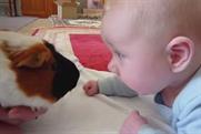 Pets At Home: cute overload