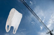 Branding implications of ‘banish the bags' campaign