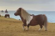 Three: 'dancing pony' tops Easter chart