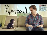 Puppyhood: branded video by Buzzfeed for US brand Purina