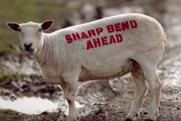 Sheep are transformed into billboards to help cut traffic deaths