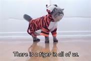 Greenpeace: video features cats in costumes to highlight the plight of the tiger