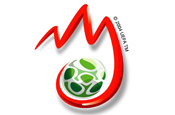 Brands cash in on Euro 2008