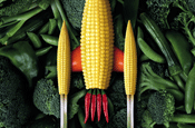 Uncle Ben's...print ads by Proximity