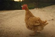 Reebok spot encourages people to live 'free range'