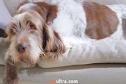 Vax: 2014 TV advert for Rapide Ultra