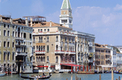 Venice...Sital Banerjee criticises media agencies