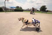 Kleenex: "unlikely best friends" by VSA Partners USA