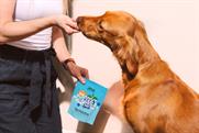 It’s National Dog Rescue Day and adoption fees are on Jinx