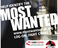 Most Wanted: went live in November