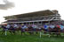 British horseracing industry hunts for lobbying agency