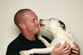 Pets: new website