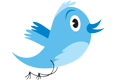 The Twitter controversy