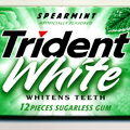 Trident: UK launch in early 2007