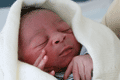 Anthony Nolan Trust: plans for cord blood banks