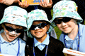 Armadillo: tackles skin cancer among children