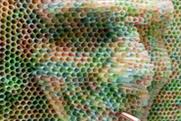 Nestea... poster made of straws