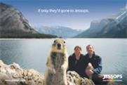 Jessops 'Squirrel' by TBWA\Manchester