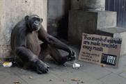 Born Free 'keep wildlife in the wild' by WCRS