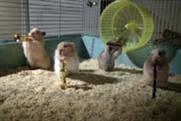 Drench 'the clever hamsters' by CHI & Partners