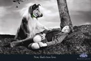 Lassie ... returns in Highland Spring ad