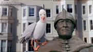 Hastings Direct "refreshingly straightforward insurance" by Antidote