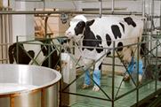 Anchor Butter 'Made by Cows since 1886' by CHI&Partners