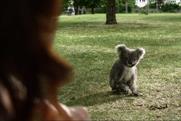 Specsavers 'koala' by Specsavers Creative
