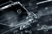Absolut 'dissection' by TBWA\Chiat\Day New York