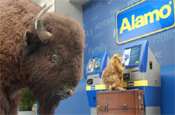 Alamo Rent A Car 'something in the kiosk' by Fallon Minneapolis