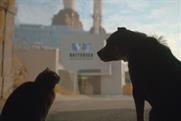 Battersea Dogs & Cats Home "Behind the scenes at Battersea" by Karmarama