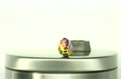 Cadbury Creme Egg 'unleash the goo' by Publicis