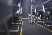 Thomas Cook Airlines "#CatsOnAPlane" by Catch