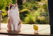 Dreamies "Best friends" by Adam & Eve/DDB