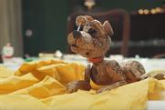 Dogs Trust "A dog is for life, not just for Christmas" by And Rising