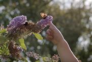 National Trust "125th anniversary" by Wieden & Kennedy London